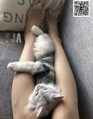 无敌珊宝妹
