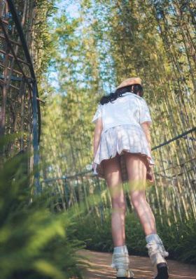 白宝山26集全集免费观看